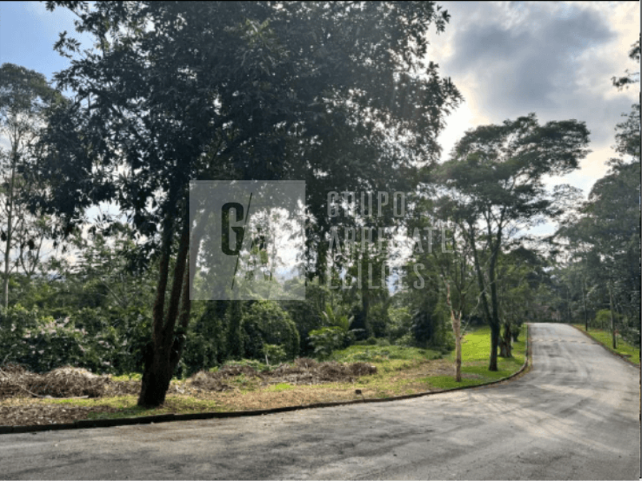 Terreno com 2.000 m² COND. VILA REAL DO MOINHO VELHO | EMBU DAS ARTES, localizado em Embu Das Artes - SP, bairro Água Rasa
